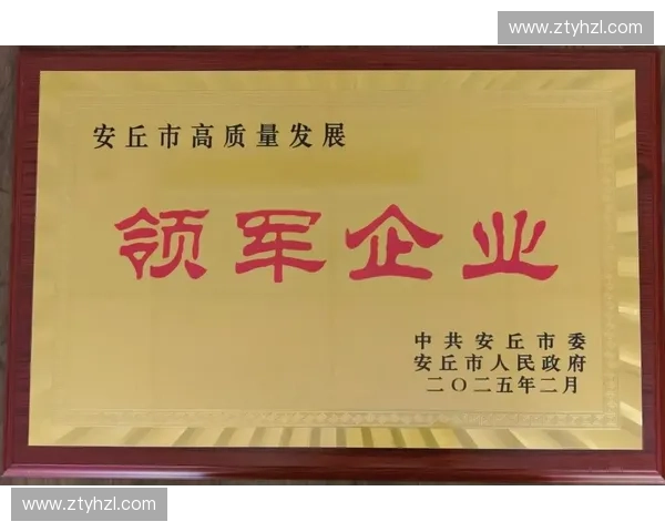 凝聚团队智慧强化协同创新机制携手攻坚突破共创高质量发展新未来 凝聚团队智慧强化协同创新机制携手攻坚突破共创高质量发展新未来